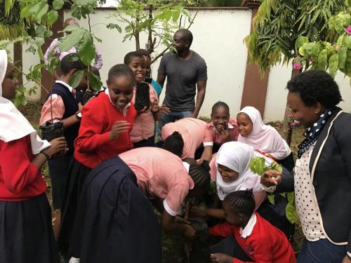 Tree planting session at Nyali school in Mombasa