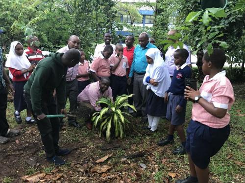 Tree planting session at Nyali school in Mombasa